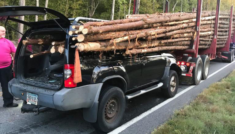 Logs impale car